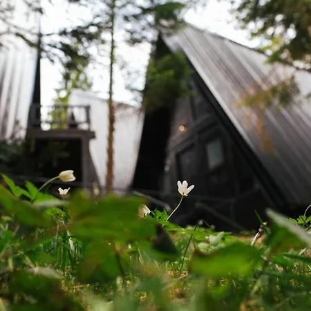 Zlatair Black Boutique Chalet