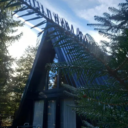 Zlatair Black Boutique *